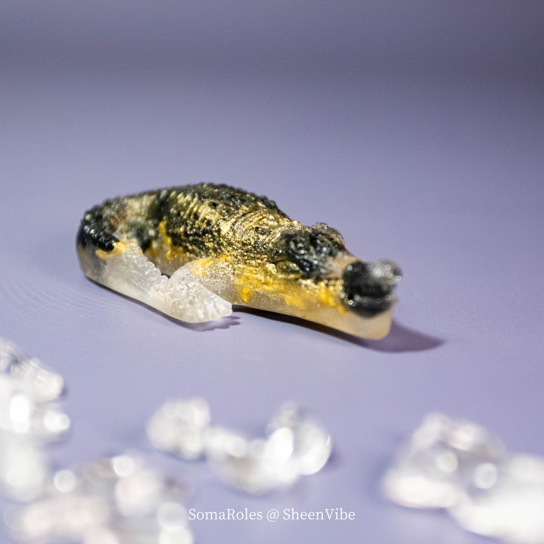小鱷魚 1